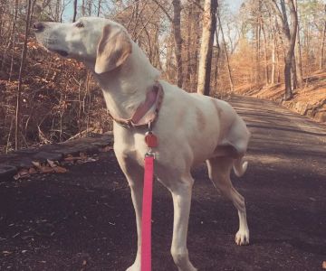 Mill Creek Veterinary Clinic