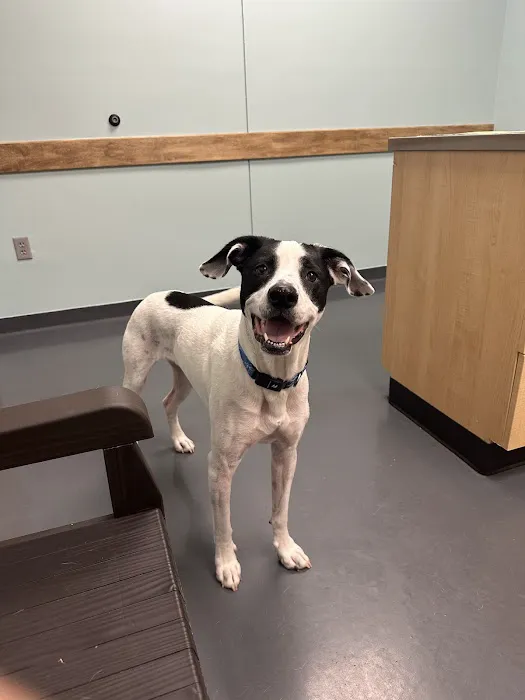Mill Creek Veterinary Clinic 7