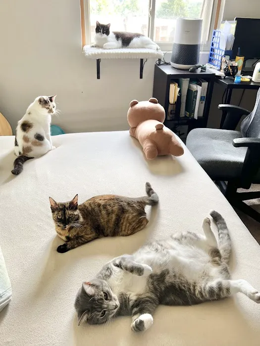 Monticello Animal Hospital 3