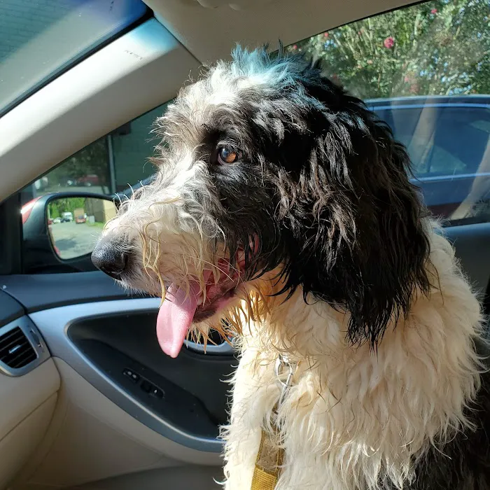 Monticello Animal Hospital 2