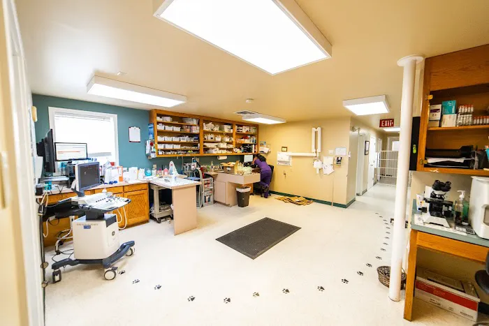 Old Dominion Animal Hospital Charlottesville 5