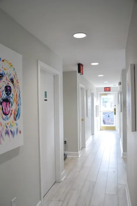 Old Dominion Animal Hospital Charlottesville 8