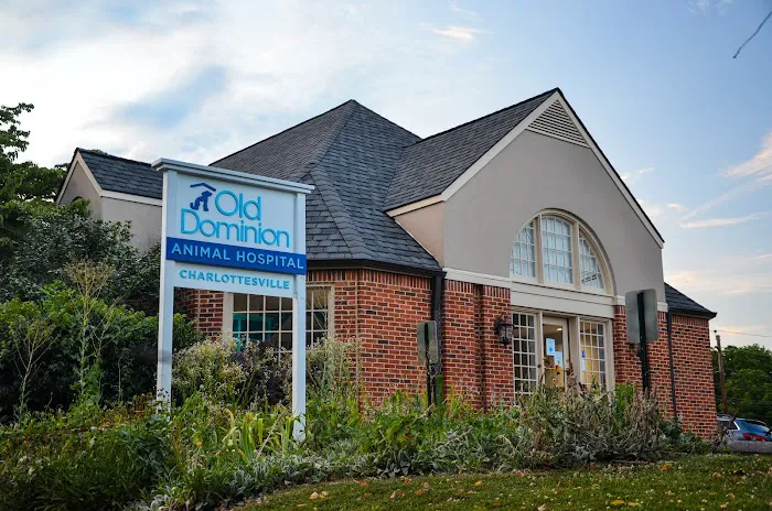 Old Dominion Animal Hospital Charlottesville 1