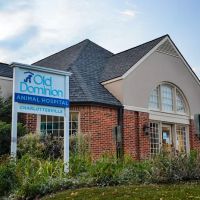 Old Dominion Animal Hospital Charlottesville ico