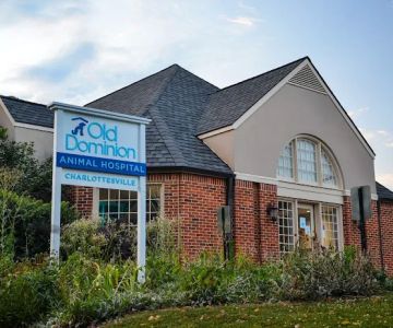 Old Dominion Animal Hospital Charlottesville