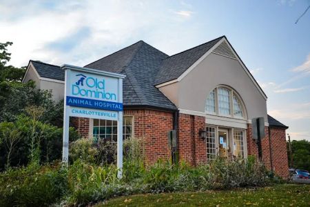 Old Dominion Animal Hospital Charlottesville