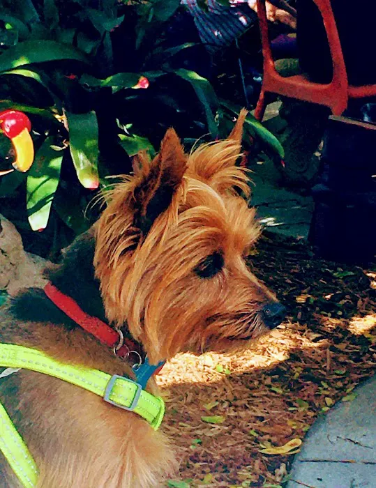 Banfield Pet Hospital 6