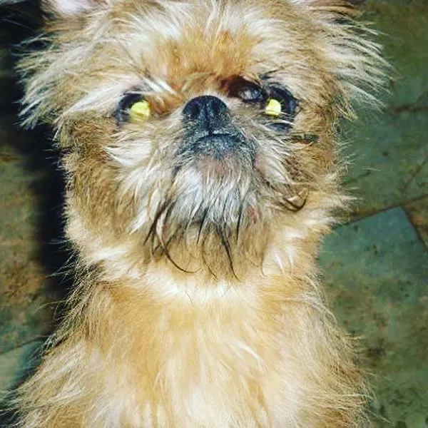 Banfield Pet Hospital 7