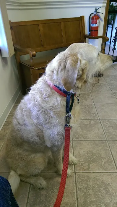 Spring Mills Veterinary Hospital 4