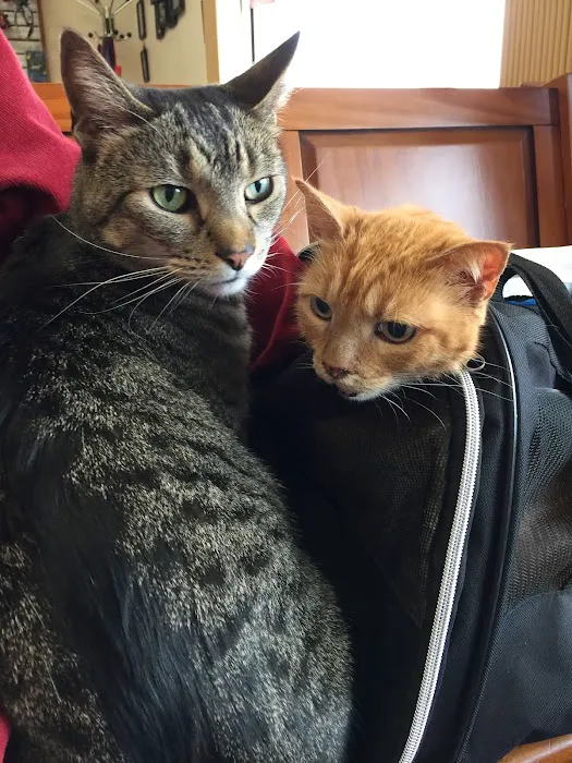 Spring Mills Veterinary Hospital 3