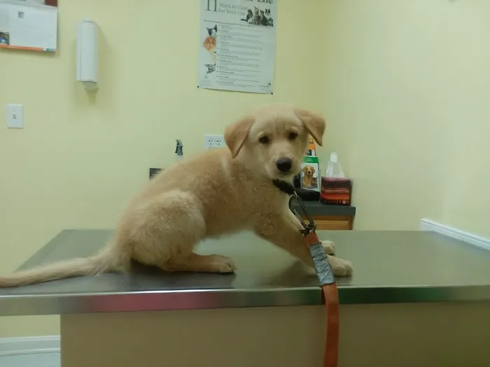 Ark Animal Clinic 8