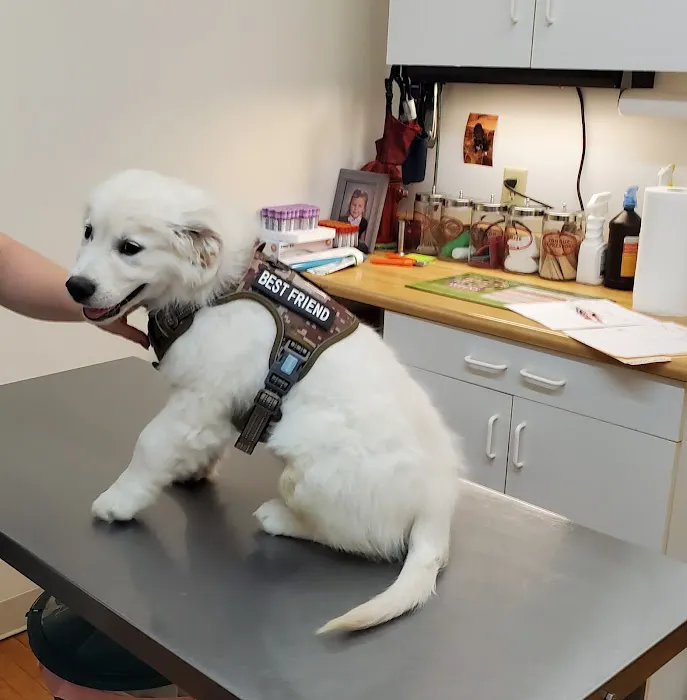 Canal Town Veterinary Clinic 3