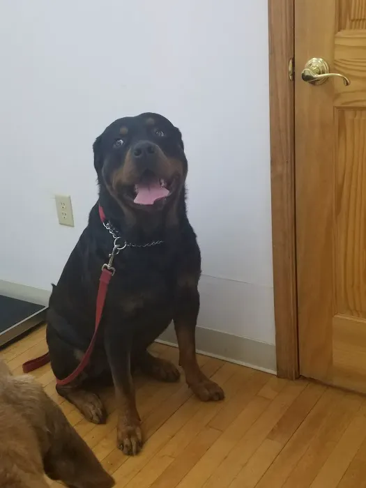 Canal Town Veterinary Clinic 4