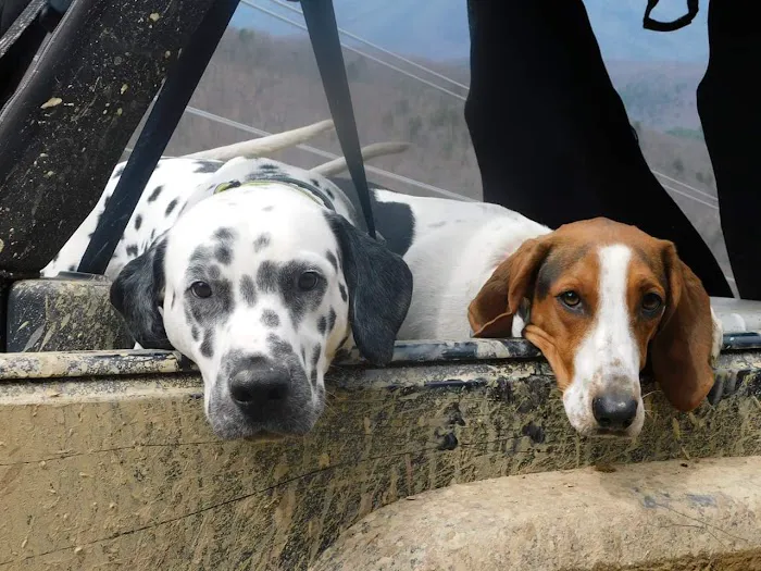 German River Veterinary Clinic 12