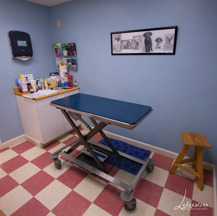 McConnellsburg Veterinary Clinic 5