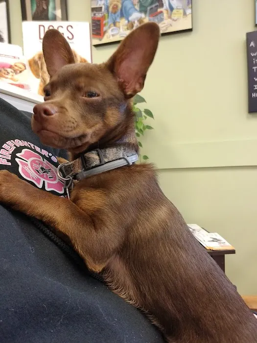 McConnellsburg Veterinary Clinic 4