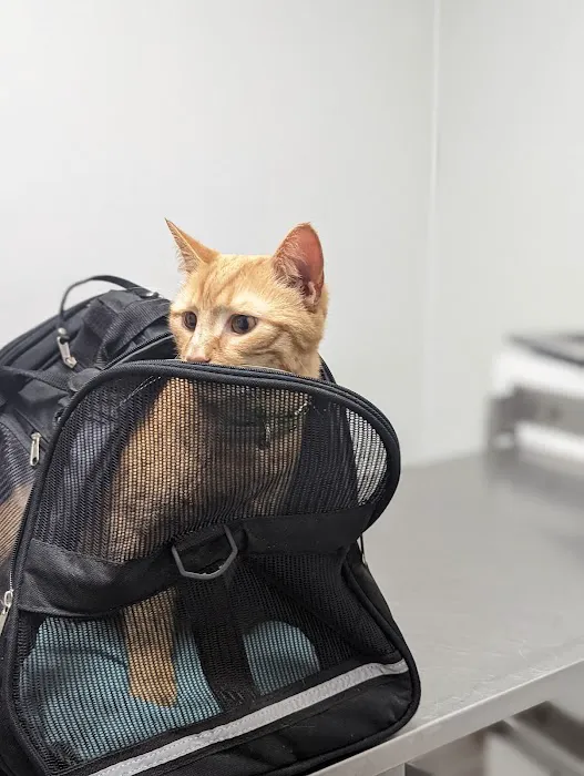 Pet Medical Center 1