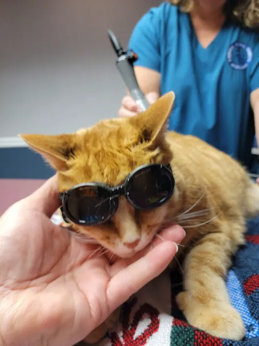 Peninsula Animal Hospital 4