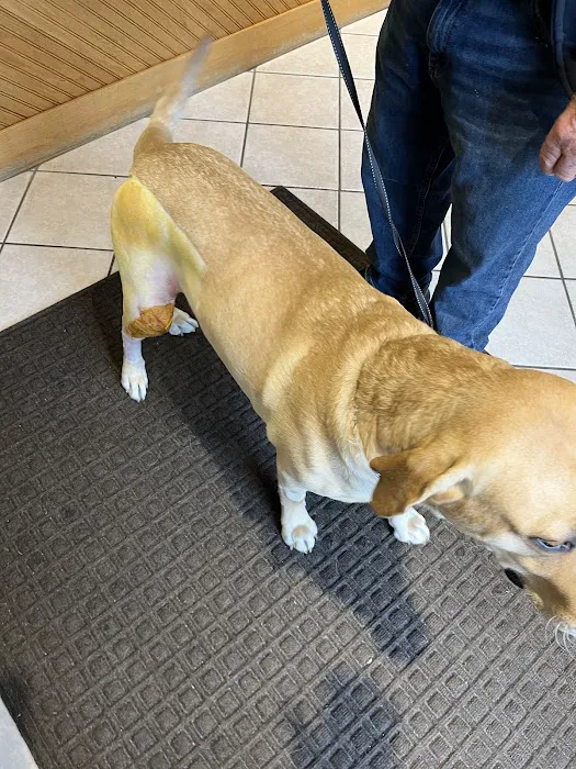 Peninsula Animal Hospital 5