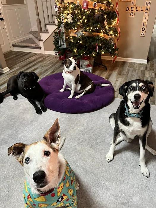 Peninsula Animal Hospital 7