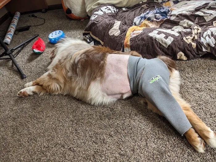 Peninsula Animal Hospital 6
