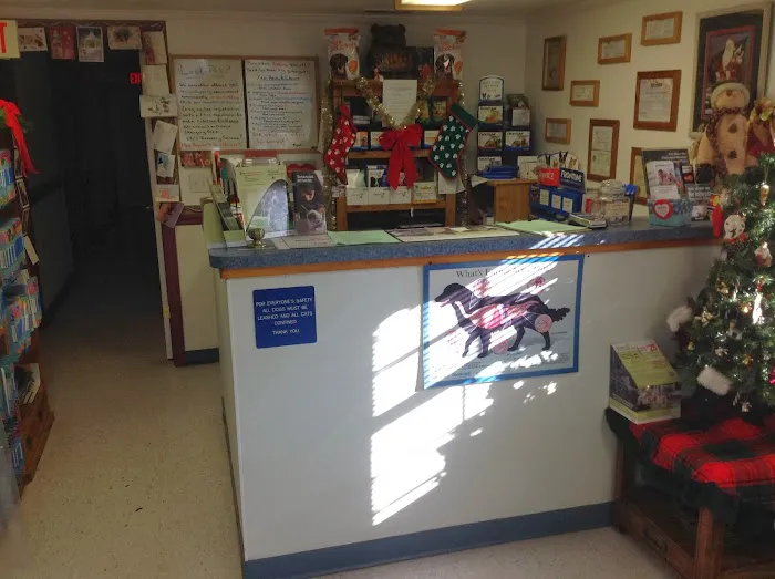 Lonestar Animal Hospital PA 2