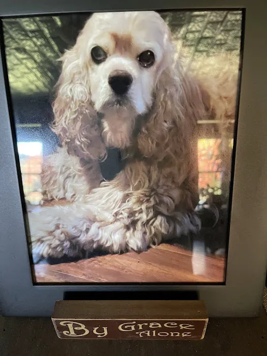 Lonestar Animal Hospital PA 3