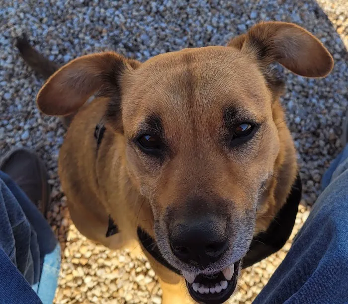 Cabin Creek Animal Hospital 4