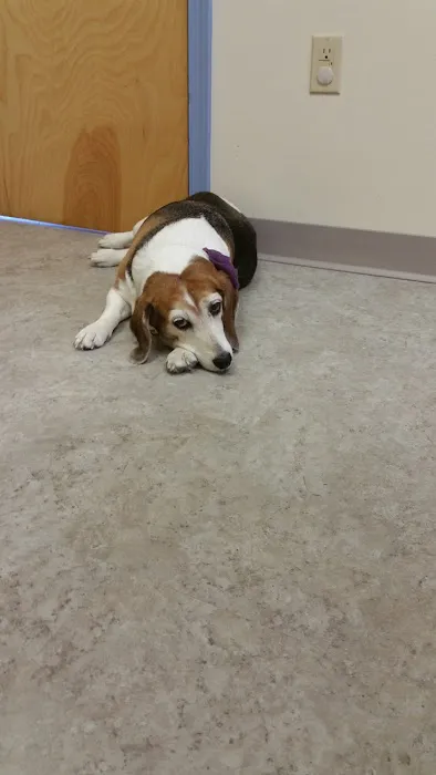 Cabin Creek Animal Hospital 2
