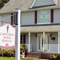 Cabin Creek Animal Hospital ico