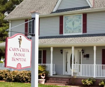 Cabin Creek Animal Hospital