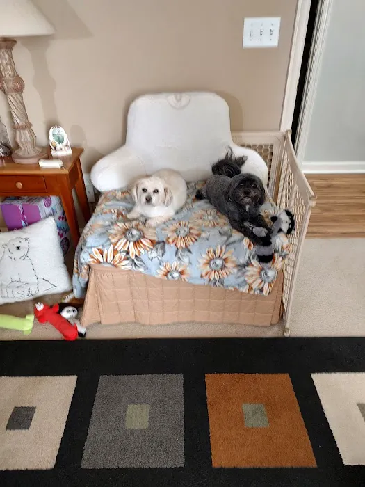 Banfield Pet Hospital 6