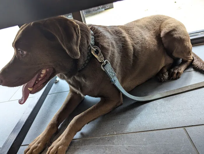 Banfield Pet Hospital 10