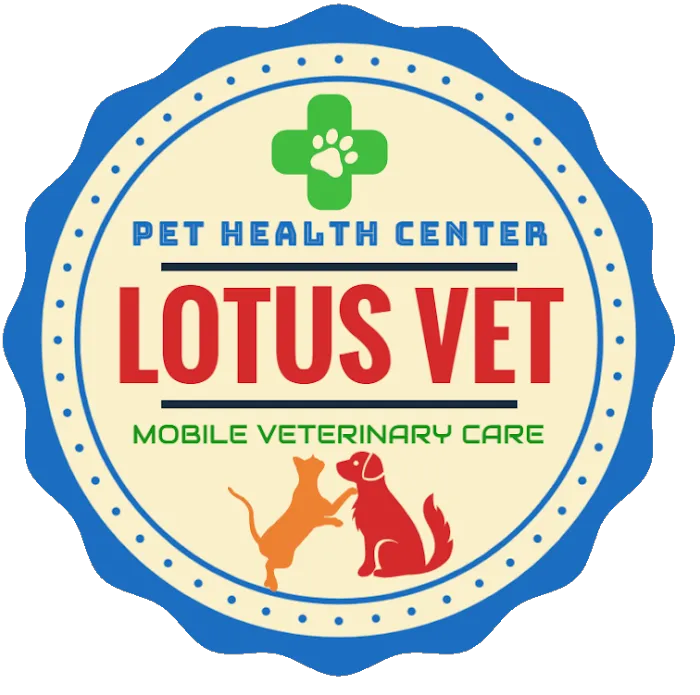 Veterinary Hospital 8