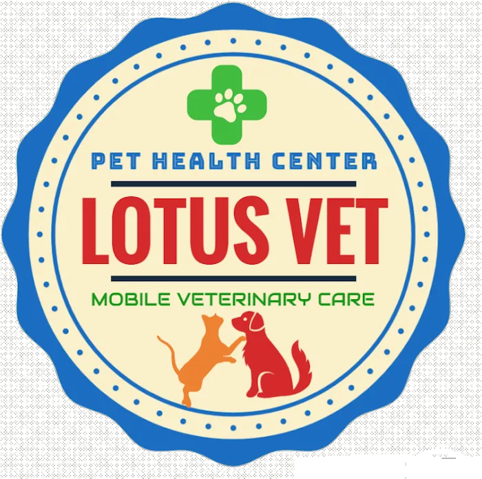 Veterinary Hospital 9