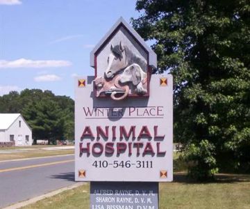 Winter Place Animal Hospital Shari Rayne,DVM