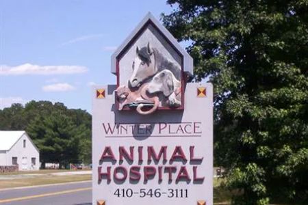 Winter Place Animal Hospital Shari Rayne,DVM