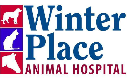 Winter Place Animal Hospital Shari Rayne,DVM 3