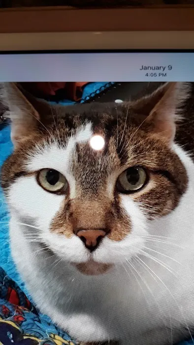 Pets ER Veterinary Office 8