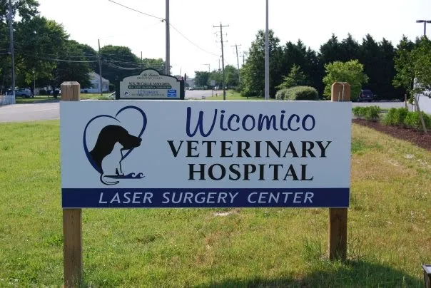 Wicomico Veterinary Hospital 6