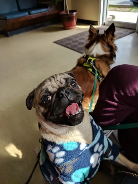 Salisbury Animal Hospital 6