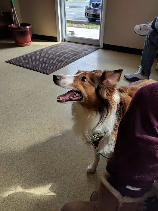 Salisbury Animal Hospital 7