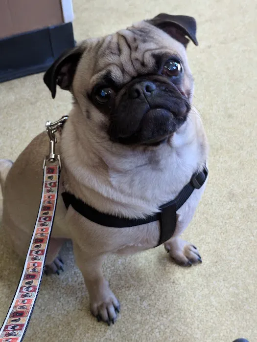 Salisbury Animal Hospital 2