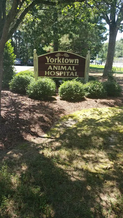 Yorktown Animal Hospital 12