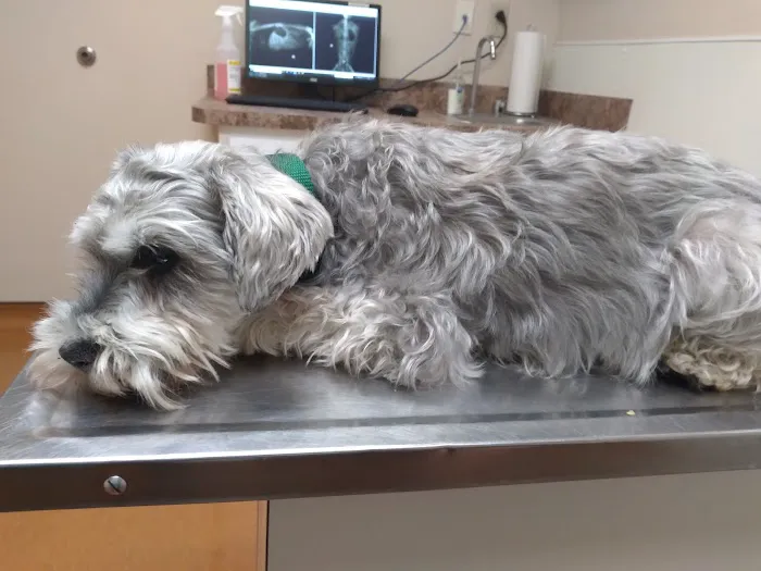 Yorktown Animal Hospital 12