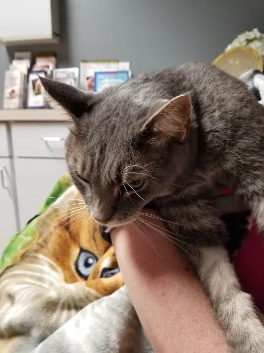VCA Merrimac Animal Hospital 12