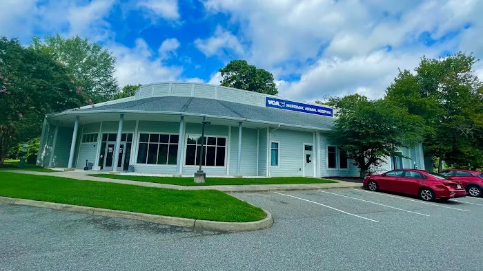 VCA Merrimac Animal Hospital 12