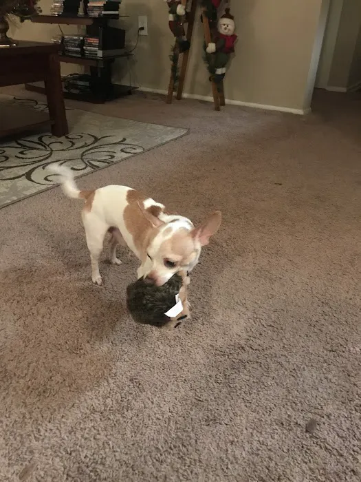 Middle Plantation Animal Hospital 4
