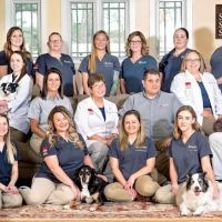 Godspeed Animal Care ico