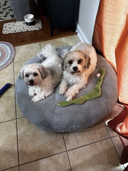 Banfield Pet Hospital 1